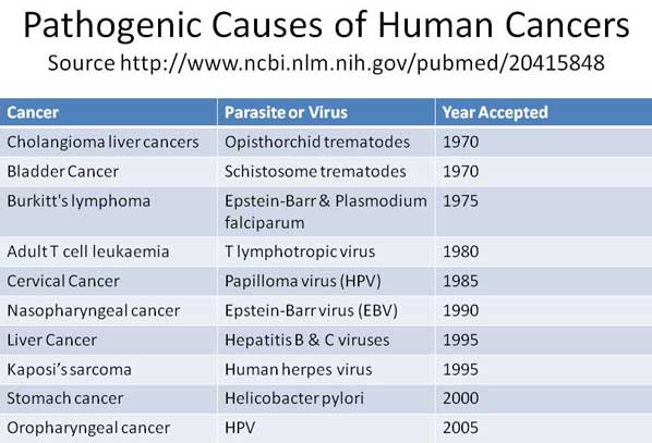 Accepted Causes of Cancer
